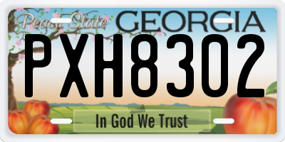 GA license plate PXH8302