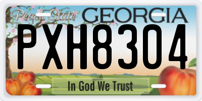 GA license plate PXH8304