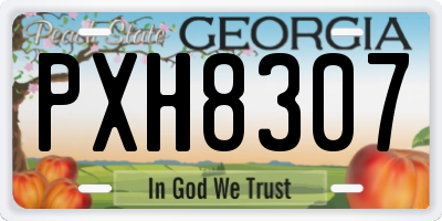 GA license plate PXH8307