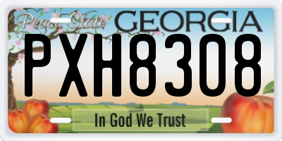 GA license plate PXH8308