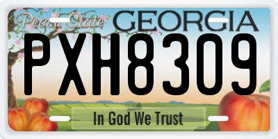 GA license plate PXH8309