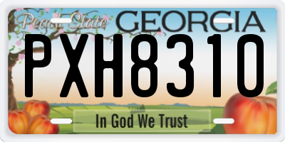 GA license plate PXH8310