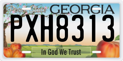 GA license plate PXH8313