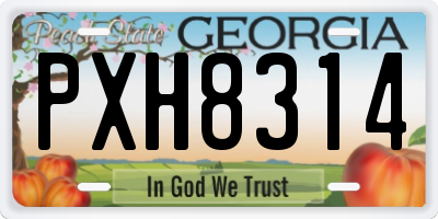 GA license plate PXH8314