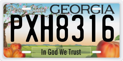 GA license plate PXH8316