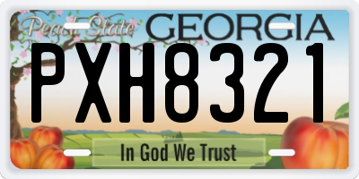 GA license plate PXH8321