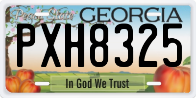 GA license plate PXH8325