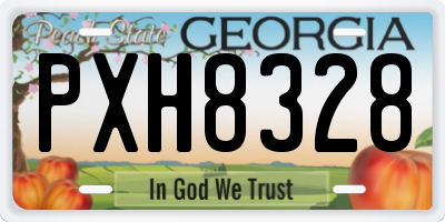GA license plate PXH8328
