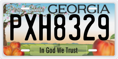 GA license plate PXH8329