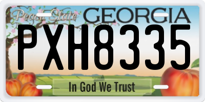 GA license plate PXH8335