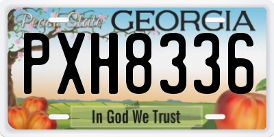 GA license plate PXH8336