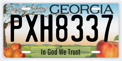 GA license plate PXH8337