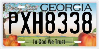 GA license plate PXH8338