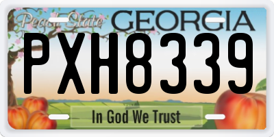 GA license plate PXH8339