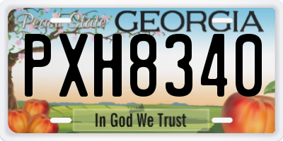 GA license plate PXH8340