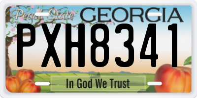 GA license plate PXH8341