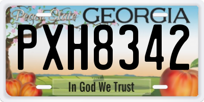 GA license plate PXH8342