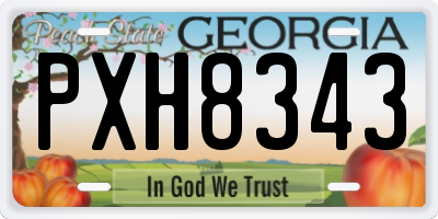 GA license plate PXH8343