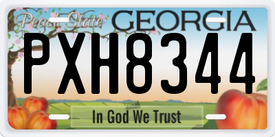 GA license plate PXH8344