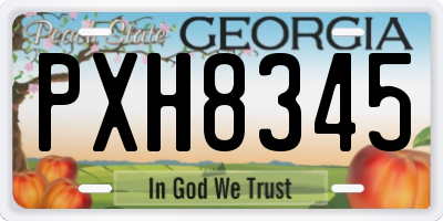 GA license plate PXH8345
