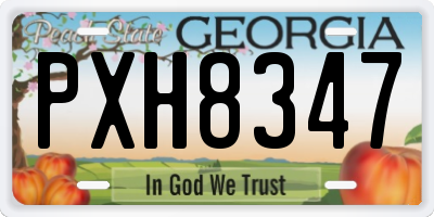 GA license plate PXH8347