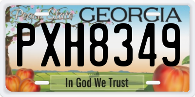 GA license plate PXH8349