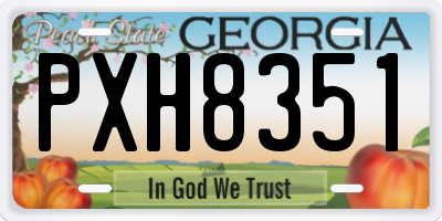 GA license plate PXH8351