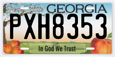 GA license plate PXH8353