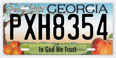 GA license plate PXH8354