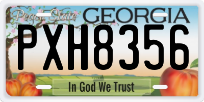 GA license plate PXH8356