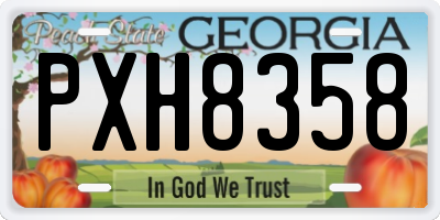 GA license plate PXH8358