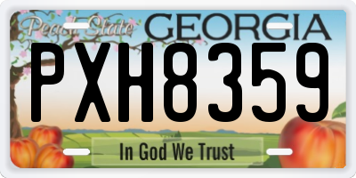 GA license plate PXH8359