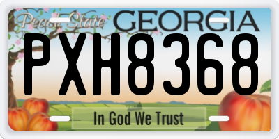 GA license plate PXH8368