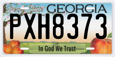 GA license plate PXH8373