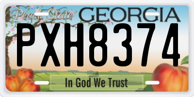 GA license plate PXH8374