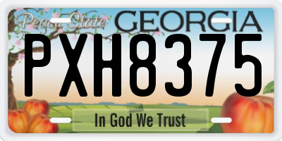 GA license plate PXH8375