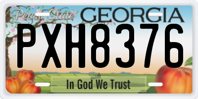 GA license plate PXH8376
