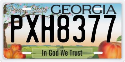 GA license plate PXH8377