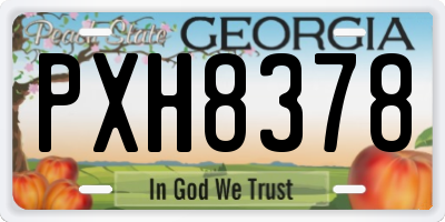 GA license plate PXH8378