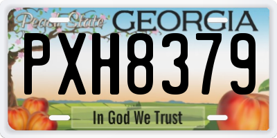 GA license plate PXH8379
