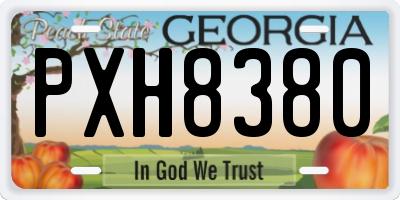 GA license plate PXH8380