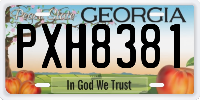GA license plate PXH8381