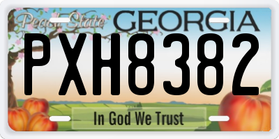 GA license plate PXH8382