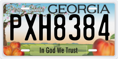 GA license plate PXH8384