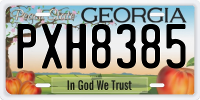 GA license plate PXH8385