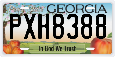 GA license plate PXH8388