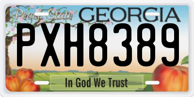 GA license plate PXH8389