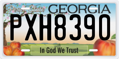 GA license plate PXH8390