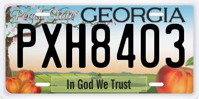 GA license plate PXH8403