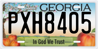 GA license plate PXH8405